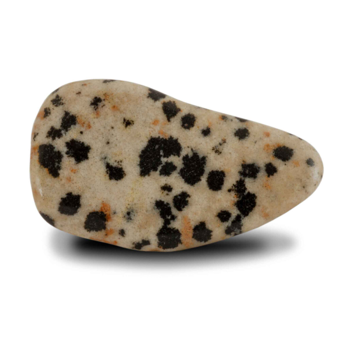 Dalmatian Jasper