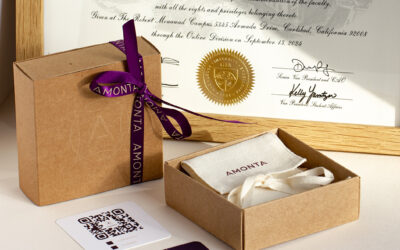 Why Sustainability Matters at AMONTA